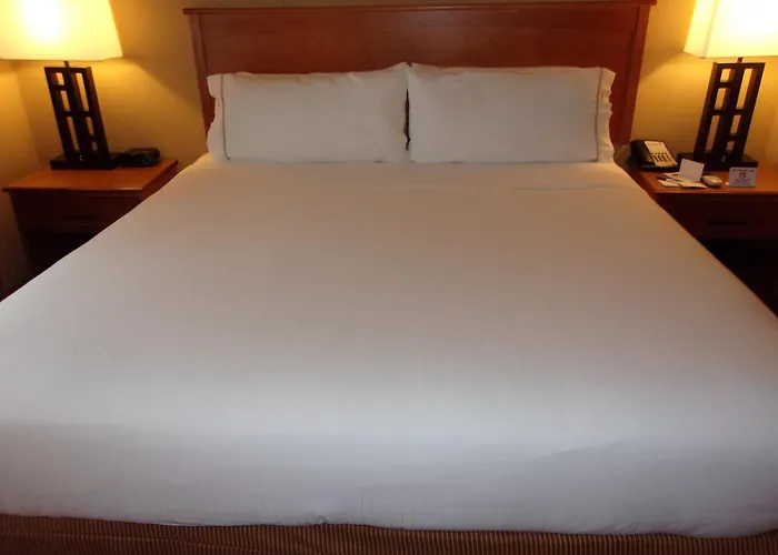 Express & Chicago West By Ihg Hotel Roselle