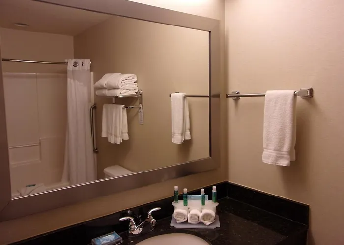 Express & Chicago West By Ihg Hotel