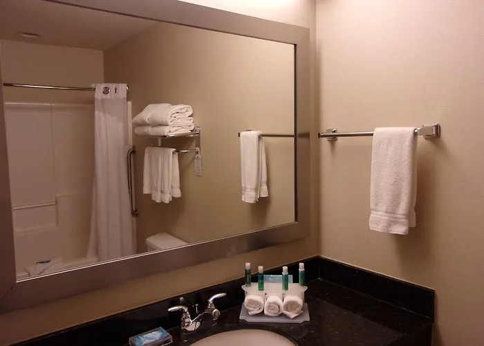 Express & Chicago West By Ihg Hotel 3*