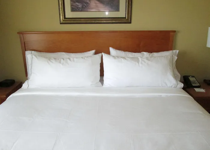 Express & Chicago West By Ihg 3* Roselle